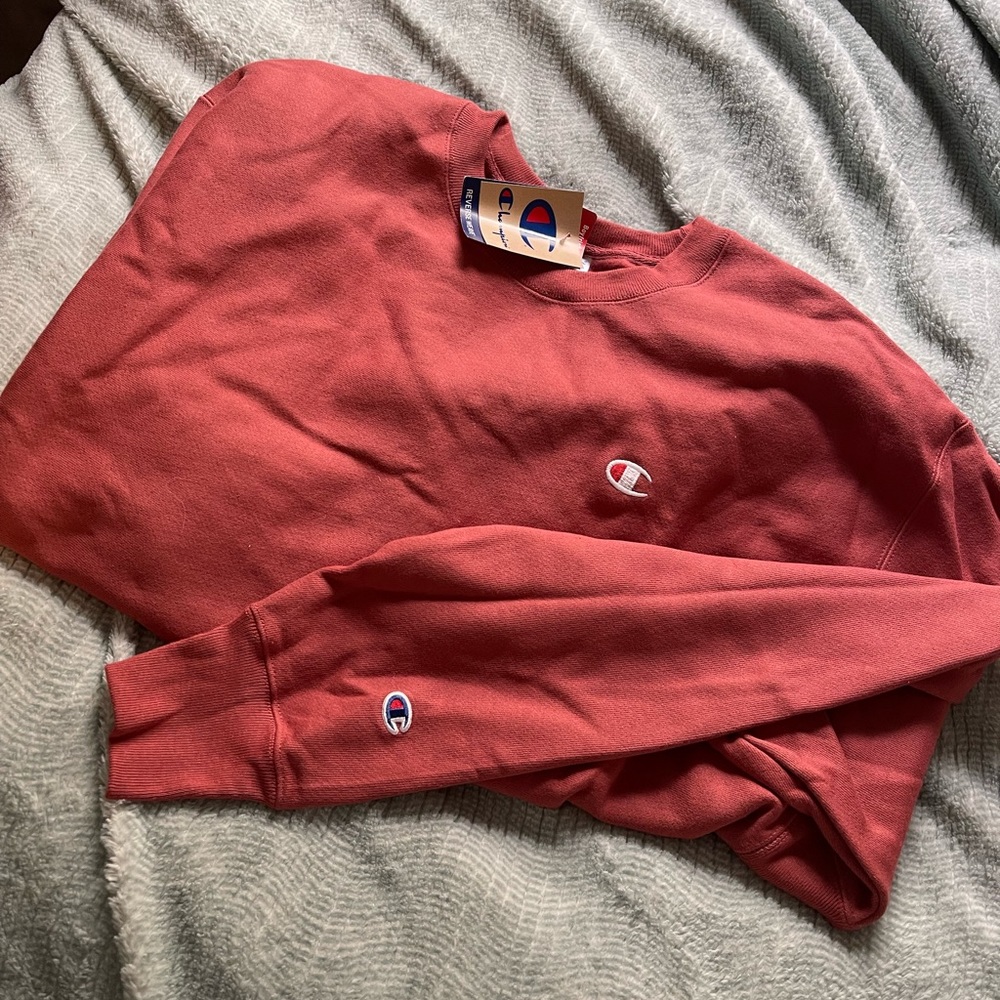 Champion NWT crewneck 2XL